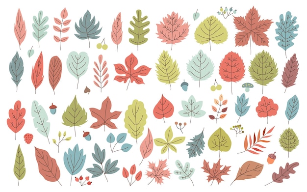 Hand drawn set of Autumn Leaves Elements icon Objects Vector illustration set with colorful maples