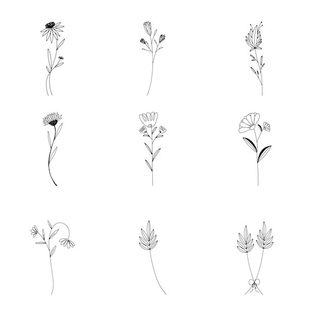 Hand drawn Set of botanical leaf doodle wildflower line art