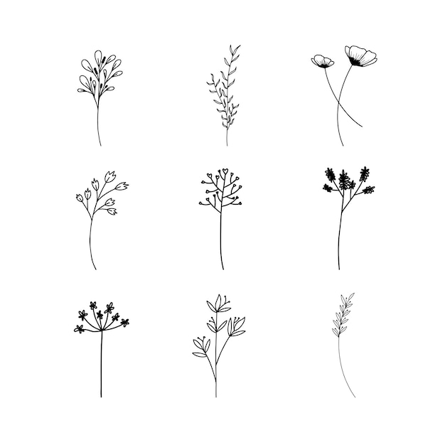 Hand drawn Set of botanical leaf doodle wildflower line art