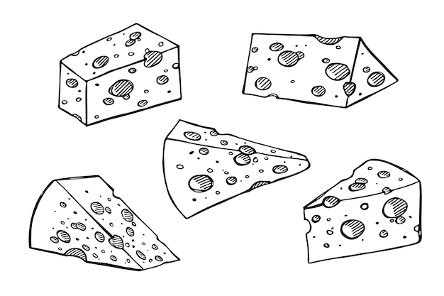 Hand drawn set of cheese parts and slices Cheese icon Vector cheese clipart