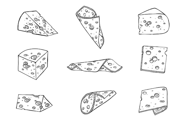 Hand drawn set of cheese parts and slices Cheese icon Vector cheese clipart