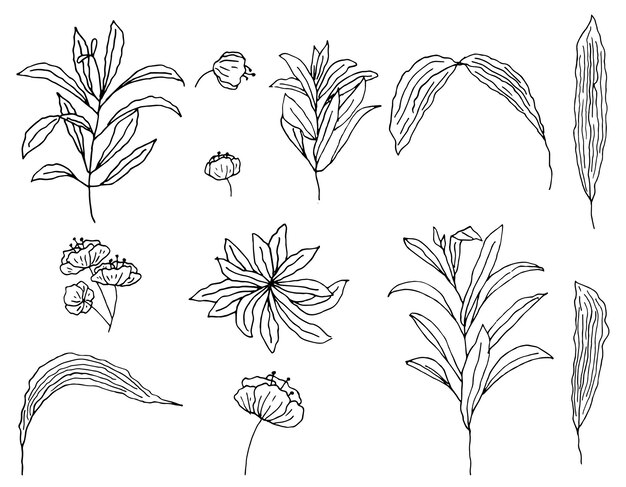 Hand drawn set of flowers. Liner