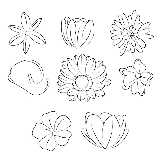 Vector hand drawn set of flowers