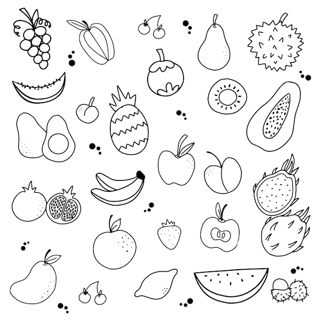 Hand drawn set of fruit with outline style vector illustration