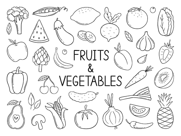 Hand drawn set of fruits and vegetables doodle Vegetarian food in sketch style