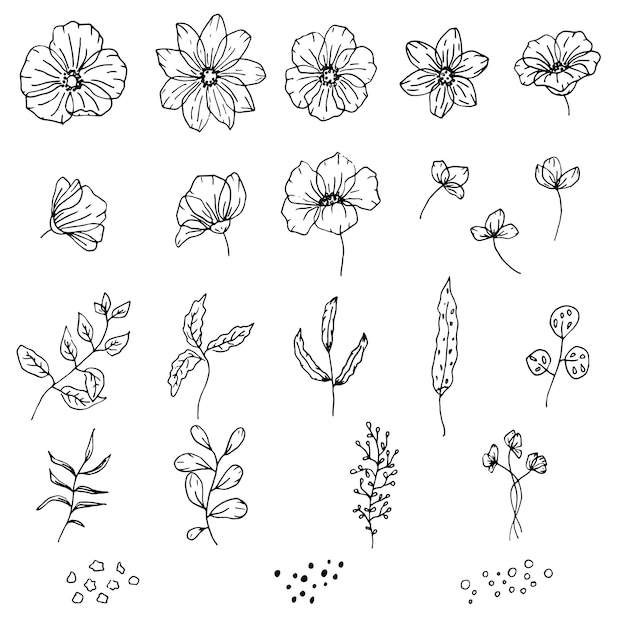 Hand drawn set of isolated floral elements Floral graphic design leaves and flowers