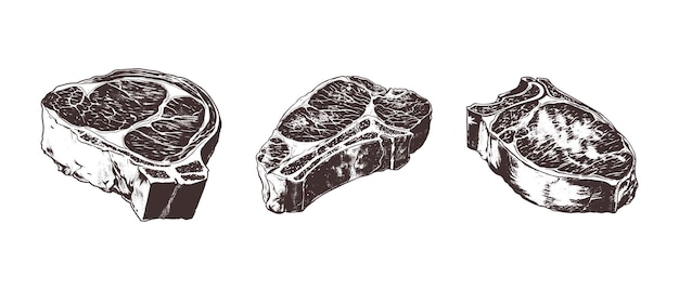 Vector hand drawn set meat steak grilled in vintage engraving style roast beef grill food bonein rib eye