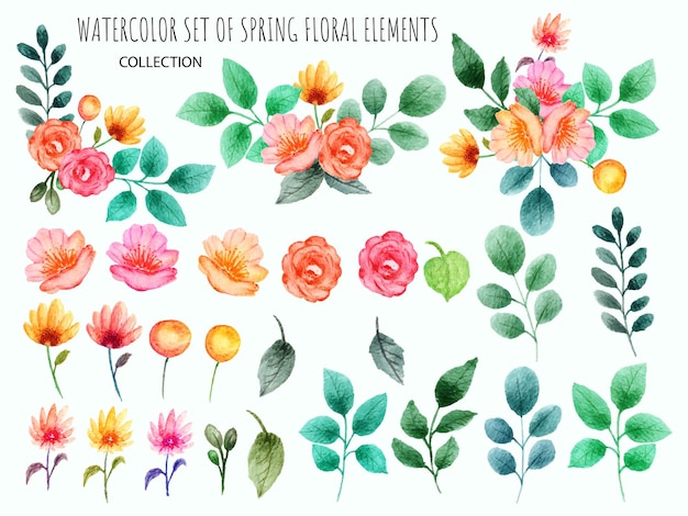 hand drawn set of spring floral element