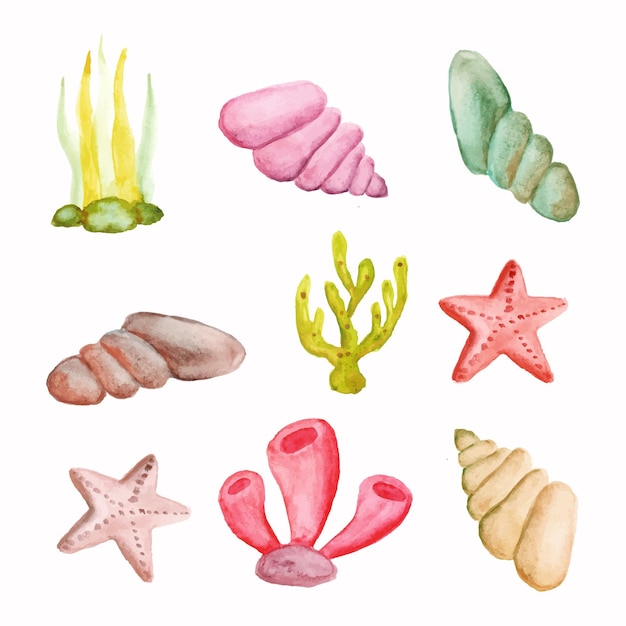 hand drawn set of summer sea creature element