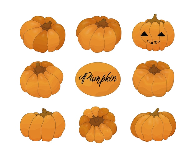 Hand drawn set of various pumpkins. Cute cartoon pumpkins for Halloween Isolated on white background