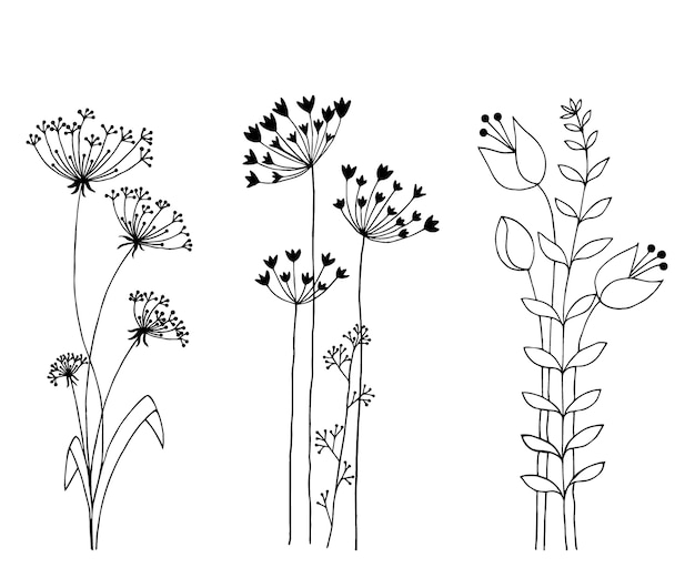 Hand drawn set of wild flowers