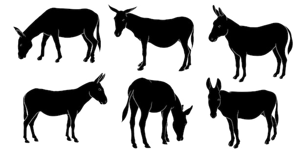 Hand drawn silhouette of donkey