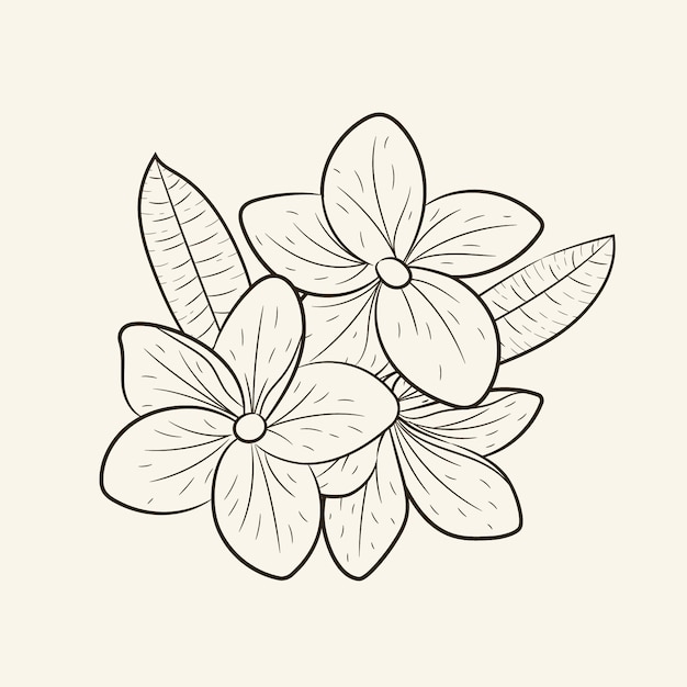 Hand drawn simple flower outline illustration