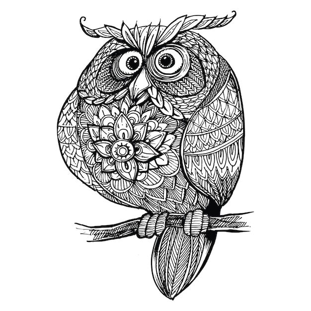 Hand drawn sitting ornate doodle owl.