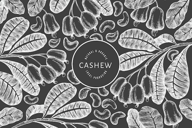 Hand drawn sketch cashew design template. Organic food vector illustration on chalk board. Vintage nut illustration. Engraved style botanical background.