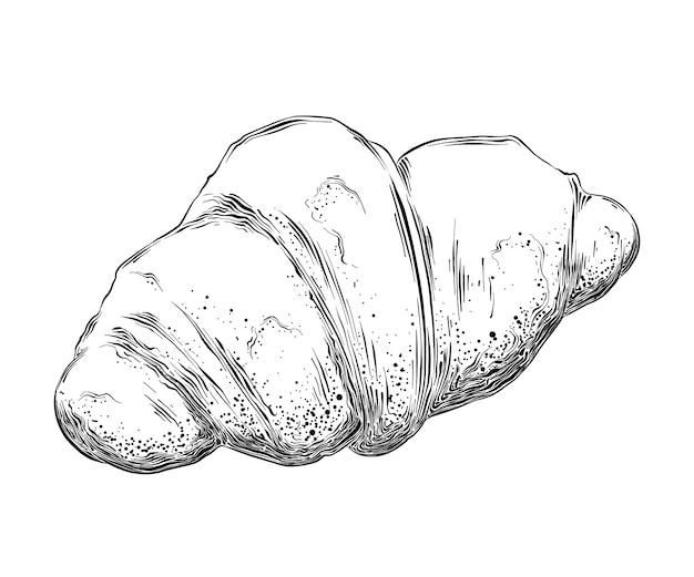 Hand drawn sketch of croissant in black isolated . Detailed vintage style drawing.  