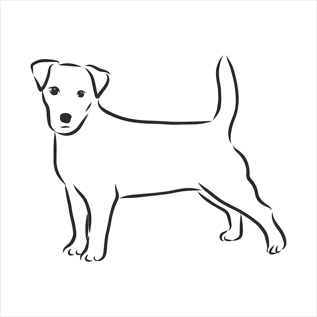 Hand drawn sketch of cute funny Jack Russell Terrier. Vector Illustration