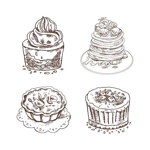 Hand drawn sketch of Delicious Cupcake with cream top pancakes with berries and syrup tartlet