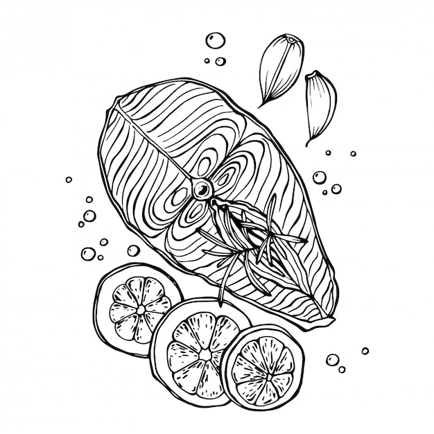 Hand drawn sketch of fresh salmon steak with garlic, rosemary, lemon and spice isolated on white.