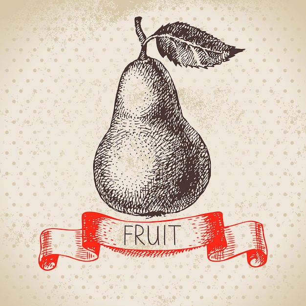 Hand drawn sketch fruit pear Eco food background Vector illustration