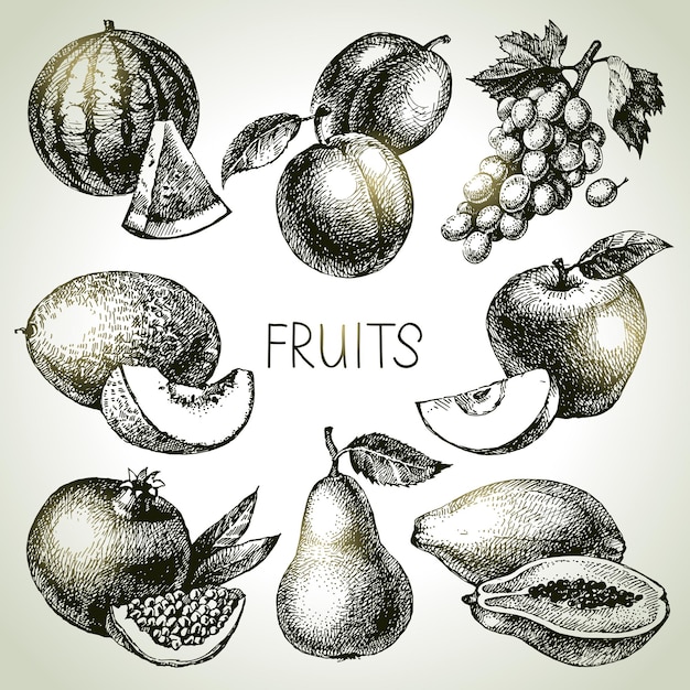 Hand drawn sketch fruit set Eco foods Vector illustration