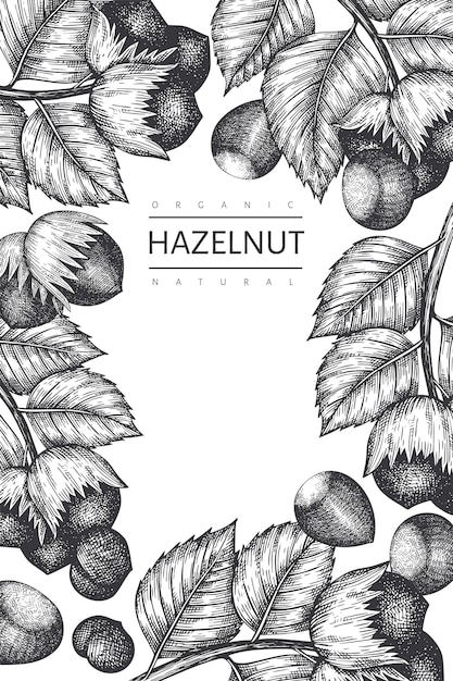 Hand drawn sketch hazelnut design template. Organic food  illustration on white background.