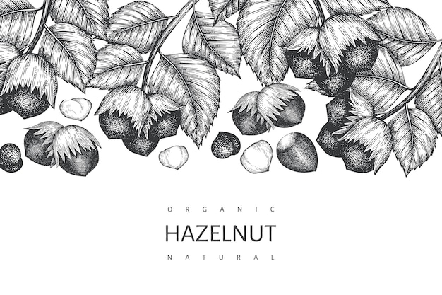 Hand drawn sketch hazelnut design template on white