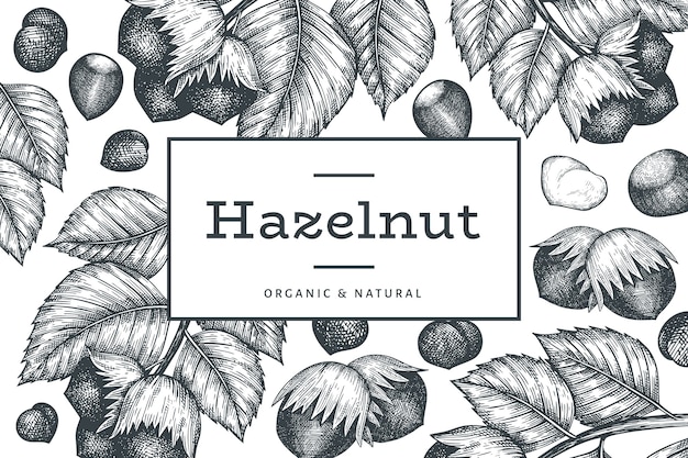 Hand drawn sketch hazelnut design template