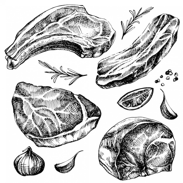 Hand drawn sketch meat set. detailed ink food illustration. Steak meat hand drawing with pepper and rosemary, lemon, garlic.