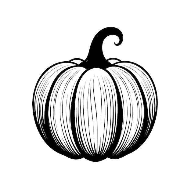 Hand Drawn Sketch Pumpkin Illustration