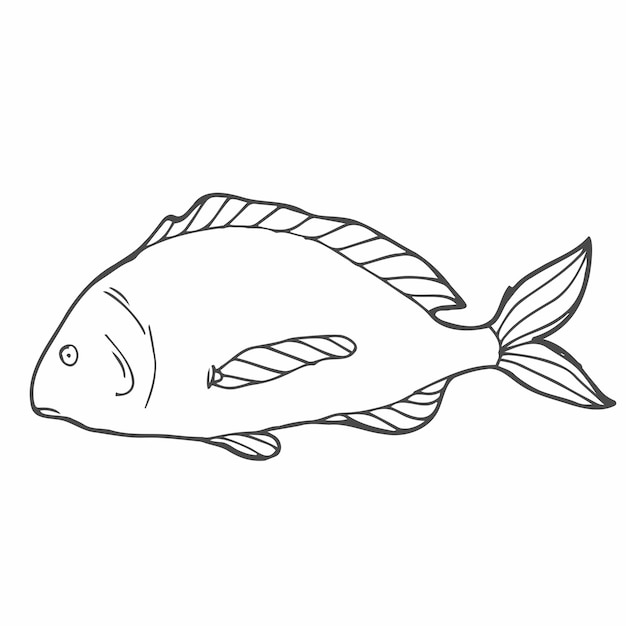 Hand drawn sketch seafood vector illustration of salmon fish Isolated object