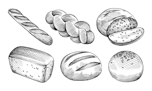 Hand drawn sketch set of bread types. Burger bun, white sandwich bread, baggel, Multigrain bread, challah, ciabatta