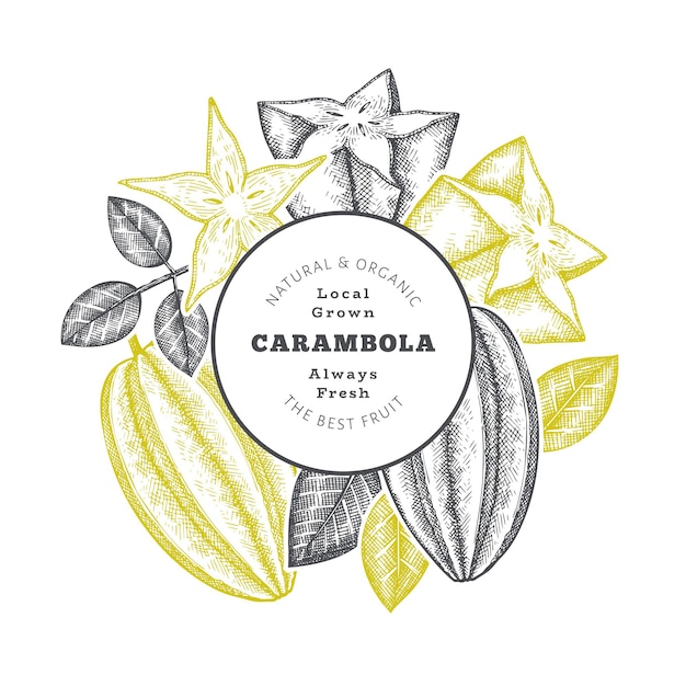 Hand drawn sketch style carambola banner. Organic fresh fruit vector illustration. Retro fruit design template