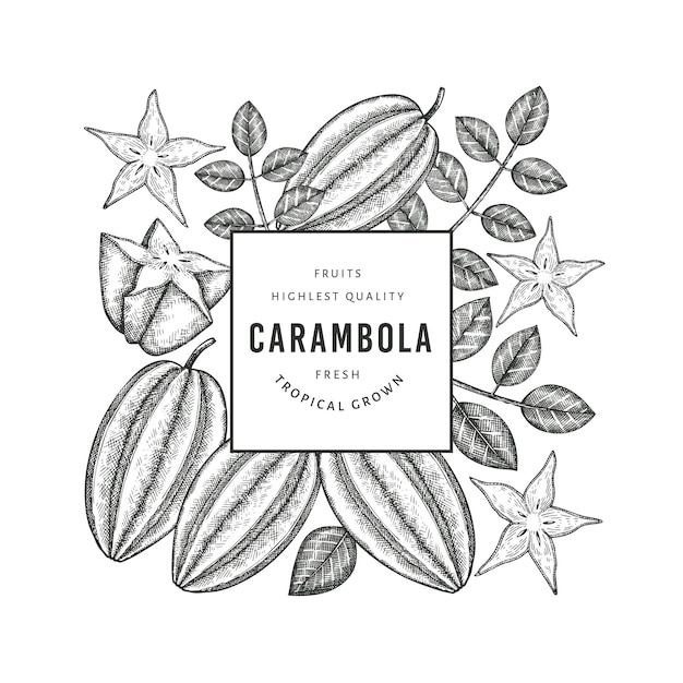 Hand drawn sketch style carambola banner.