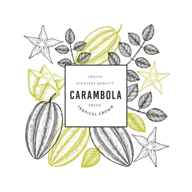 Hand drawn sketch style carambola . Organic fresh fruit  illustration. Retro fruit  template