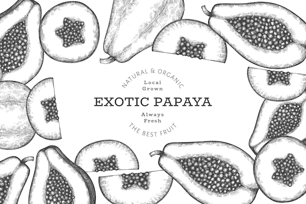 Hand drawn sketch style papaya banner. Organic fresh fruit vector illustration. Retro fruit design template