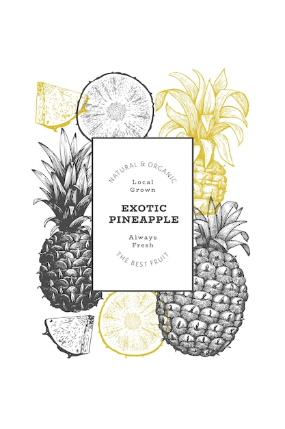 Hand drawn sketch style pineapple banner. Organic fresh fruit vector illustration. Engraved style botanical design template.