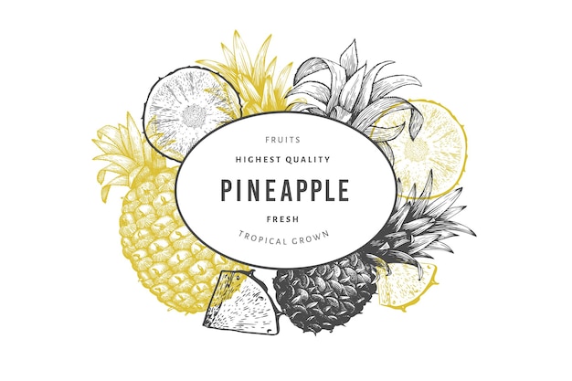 Hand drawn sketch style pineapple banner. Organic fresh fruit vector illustration. Engraved style botanical design template.