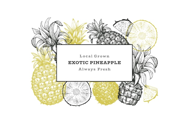 Hand drawn sketch style pineapple . fresh fruit illustration.