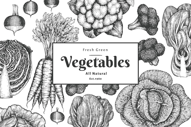 Hand drawn sketch vegetables design. Vintage vegetable background. Engraved style botanical illustrations.