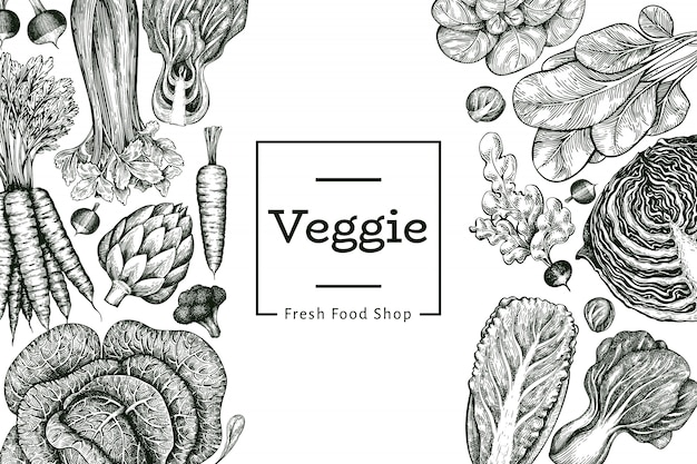 Hand drawn sketch vegetables . Organic fresh food   template. Retro vegetable background. .