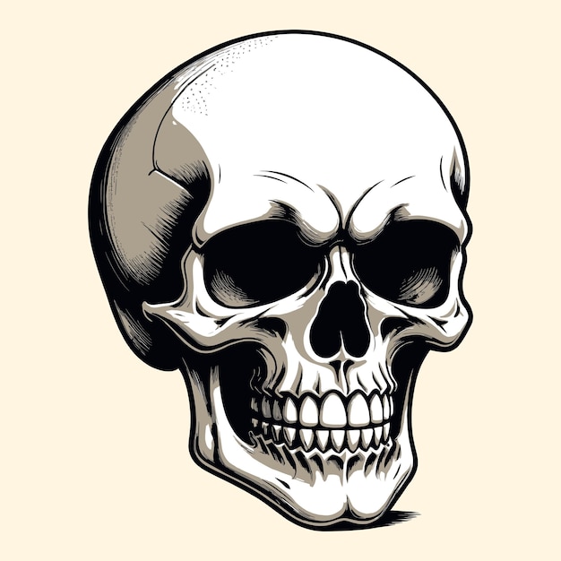 Hand Drawn Skull Illustration Mascot Engraved Style