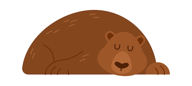 Hand drawn sleeping bear Vector illustration