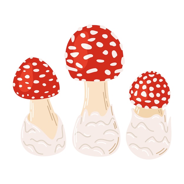 Hand drawn small fly agaric mushrooms trendy flat style magic fungus isolated on white