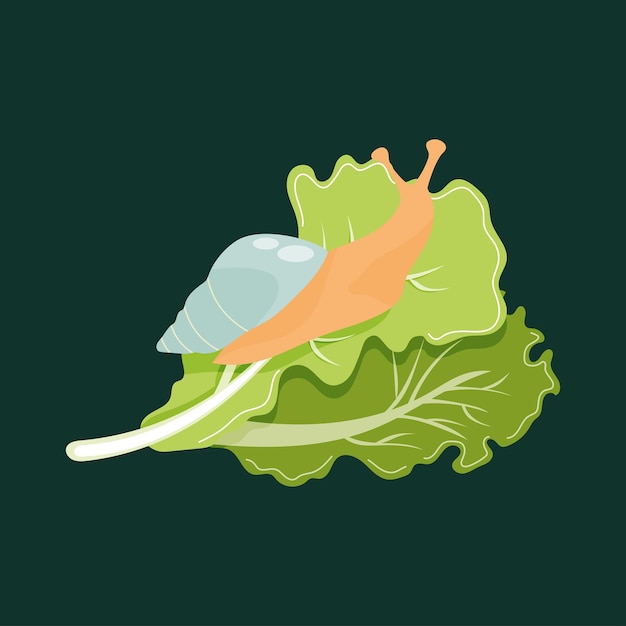 Hand drawn snail on lettuce leaves on a dark green background Vector illustration