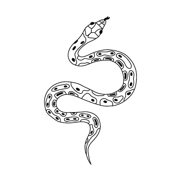 Hand drawn snake doodle with outline Tropical or Wild West poison viper in the top view Green dangerous serpent isolated Vector wildlife concept Jungle or zoo snake slithering with tongue out