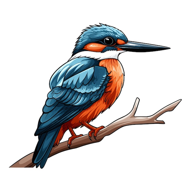 Hand Drawn Solid Color Kingfisher Bird Illustration