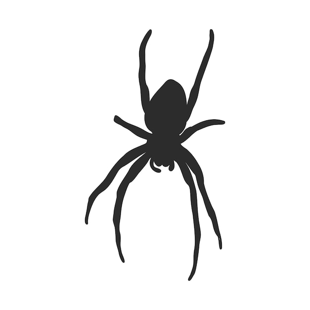 Hand Drawn Spider Illustration  Vector Design Element For Halloween