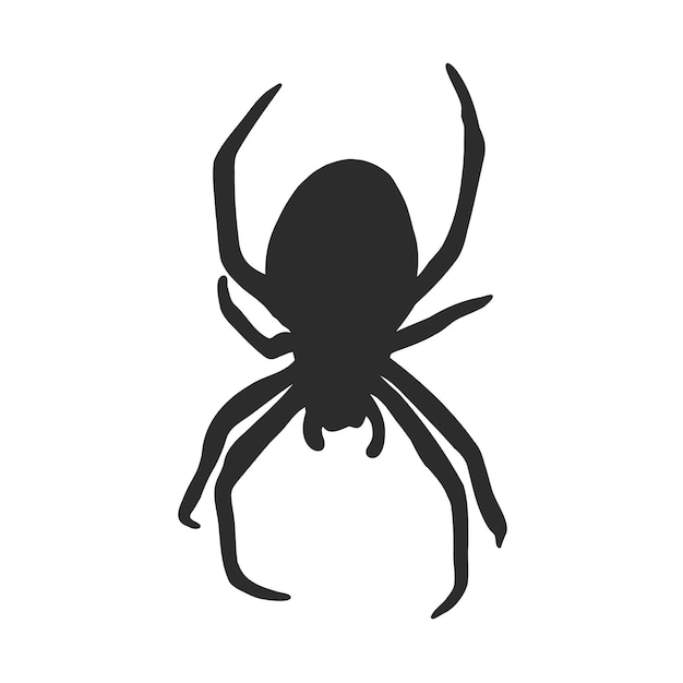 Hand Drawn Spider Illustration  Vector Design Element For Halloween