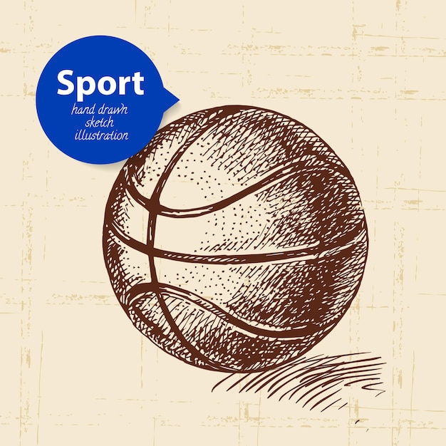 Hand drawn sport object Sketch basketball vector illustration